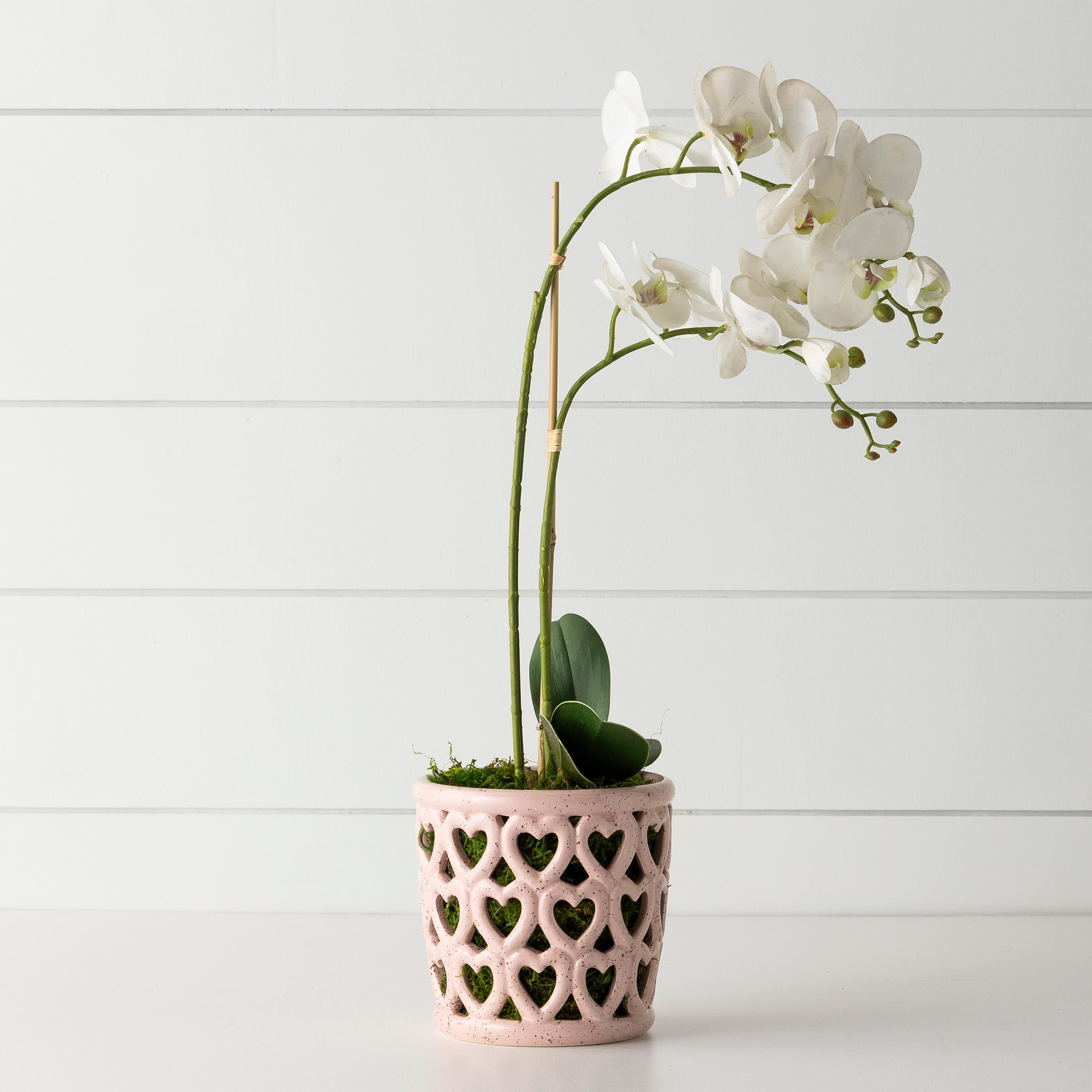 Cherished Hearts Orchid Planter