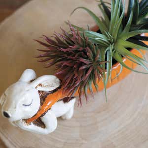 Ceramic Rabbit Pulling a Carrot Planter