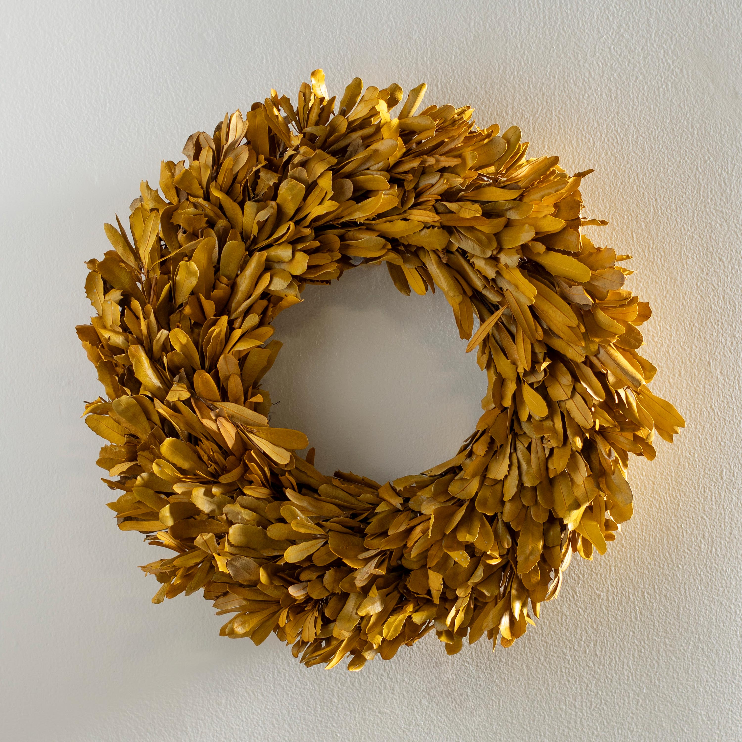 Dried 22" Natural Integrifolia Wreath, Saffron