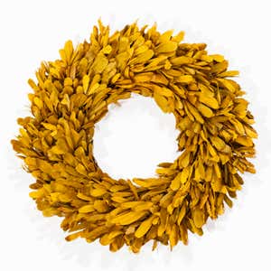 Dried 22" Natural Integrifolia Wreath, Saffron