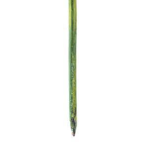 Vegetable-Shaped Garden Stakes, Set of 4