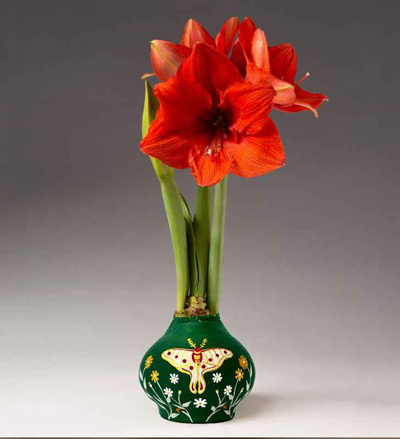 Image of Handpainted Luna Moth Jumbo Waxed Amaryllis Bulb