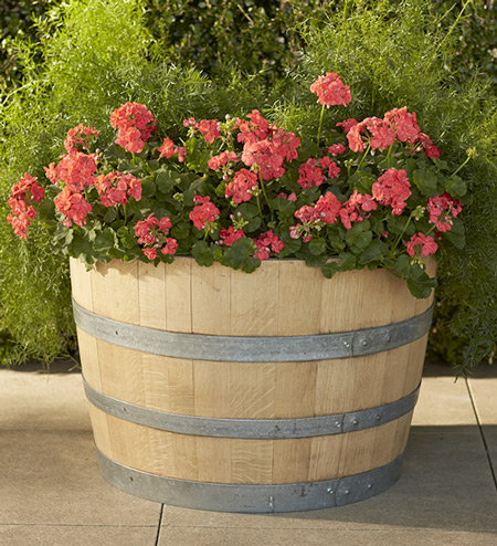 Image of Wine Barrel Planter