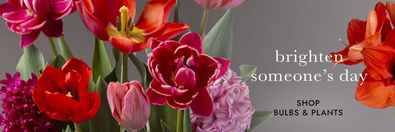 Valentine's metal art-love