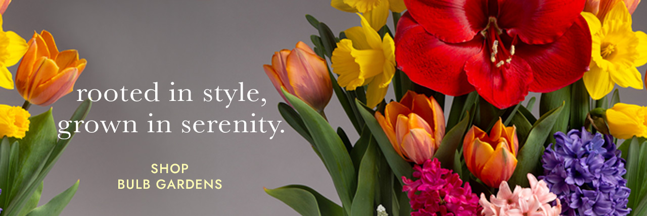 Image of assorted spring bulb gardens. Rooted in style, grown in serenity. SHOP BULB GARDENS