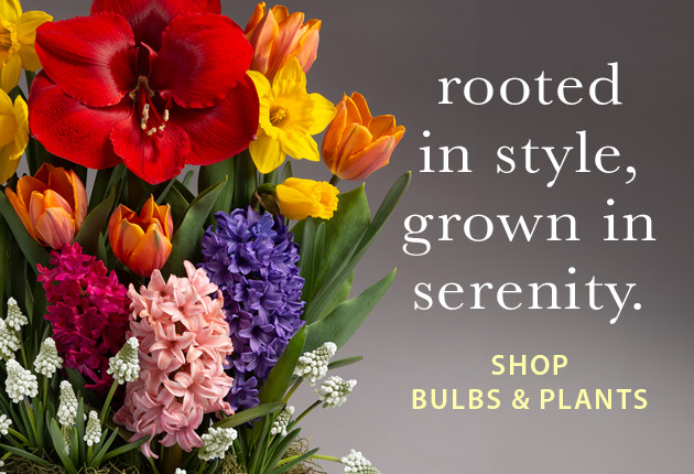 Image of assorted spring bulb gardens. Rooted in style, grown in serenity. SHOP BULB GARDENS