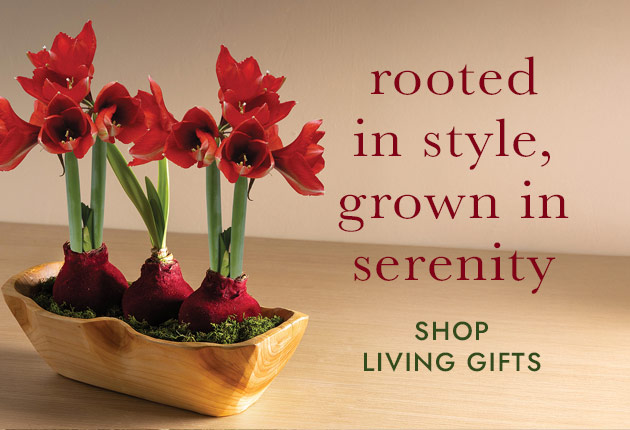 rooted in style, grown in serenity SHOP LIVING GIFTS
