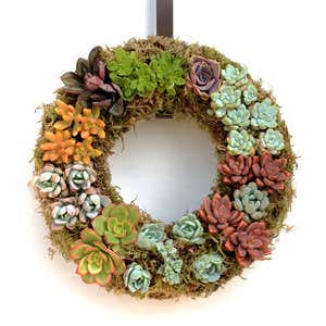 Multi-Colored Succulent Wreath