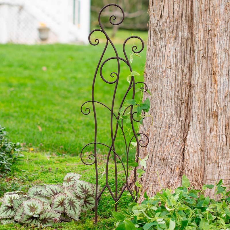 Swirl Trellis with Metal Spirals