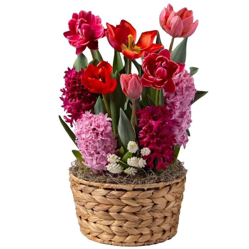 Spring Bouquet in Hyacinth Basket