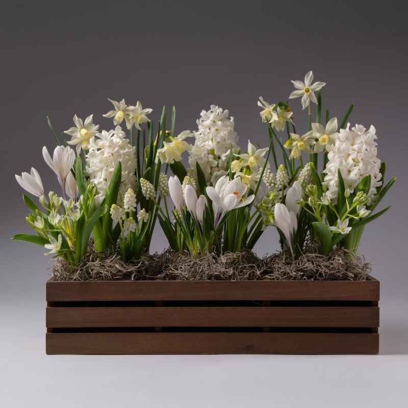 All White Garden Trug