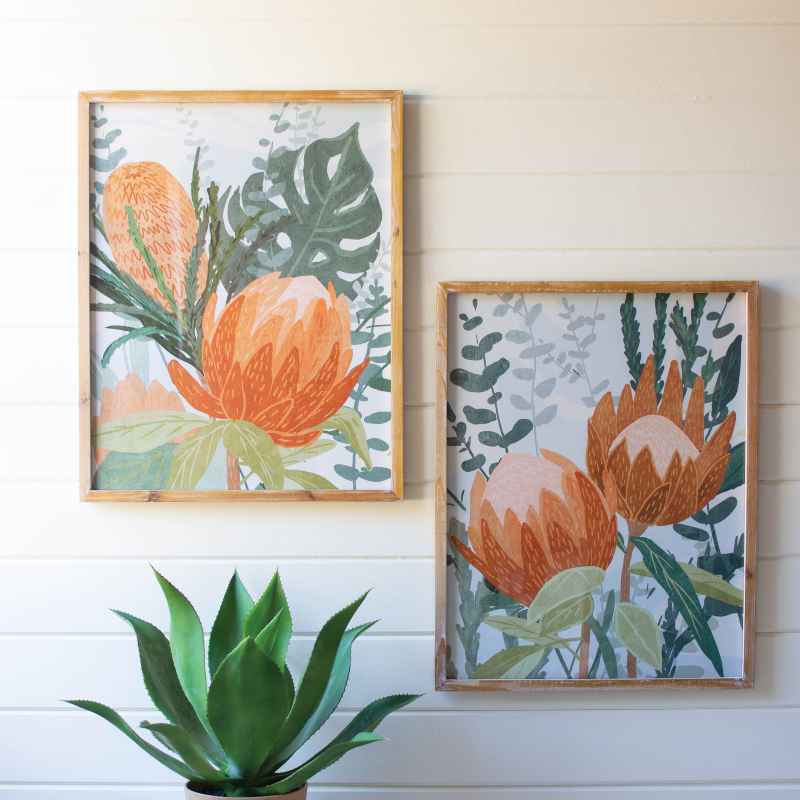 Set of 2 Framed Protea Prints