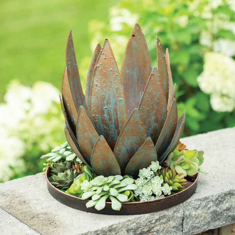 Shallow Metal Agave Planter