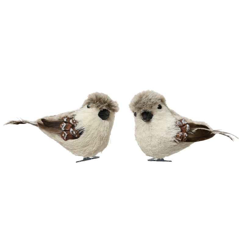 Set of 2 Assorted Winter Birds with Clips