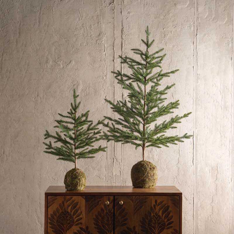 Tabletop Tree with Weighted Moss Ball Base, 23