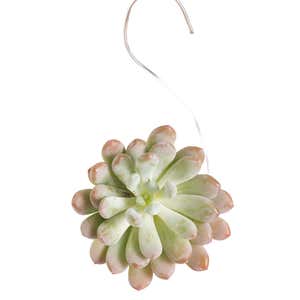 Succulent Ornaments - Set of 3