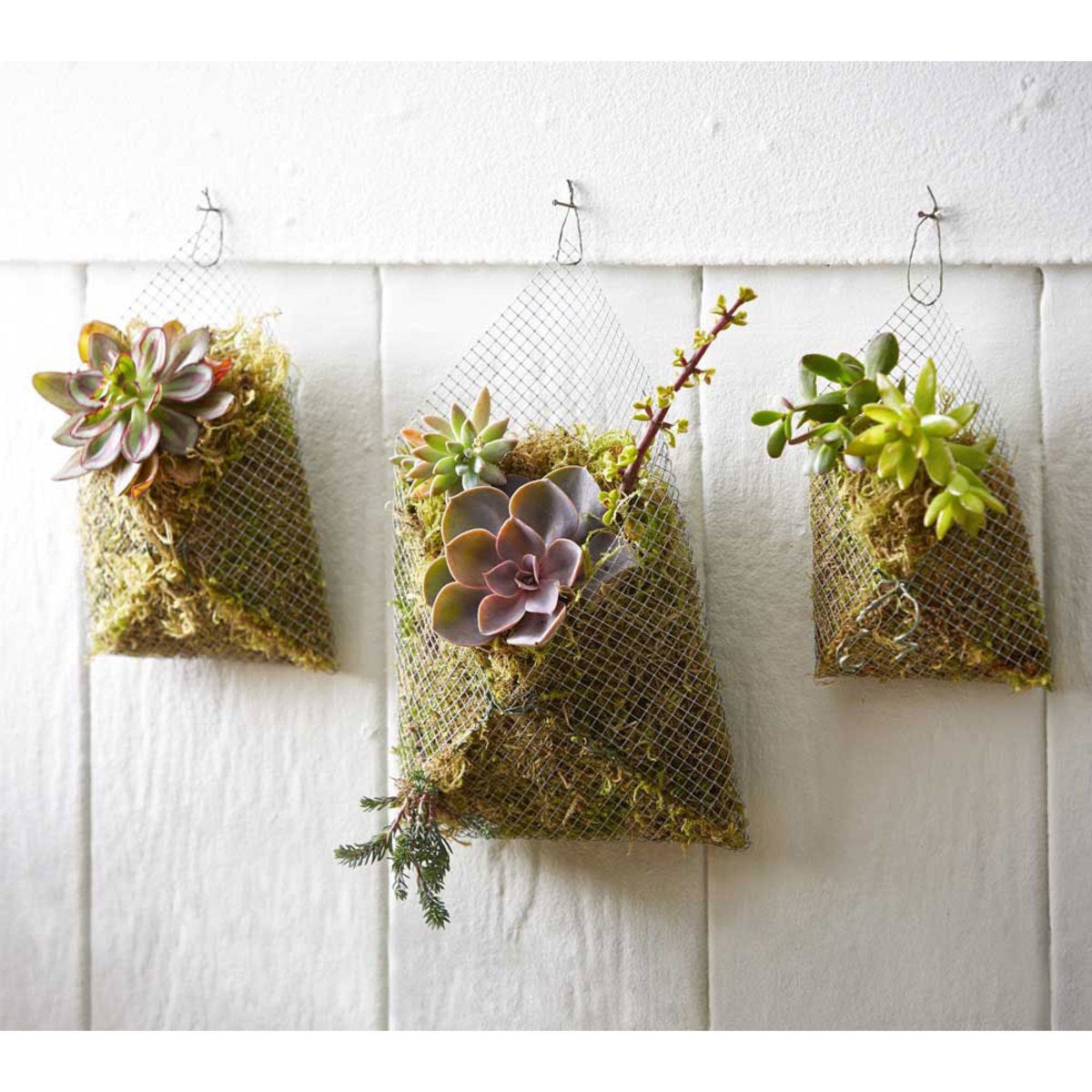 Succulent Wall Pockets, Set of 3