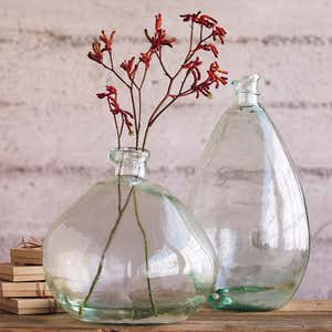 Clear Recycled Glass Balloon Vases, Set of 2 in Tall & Askew - Clear