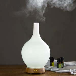 Aromatherapy Vase Diffuser