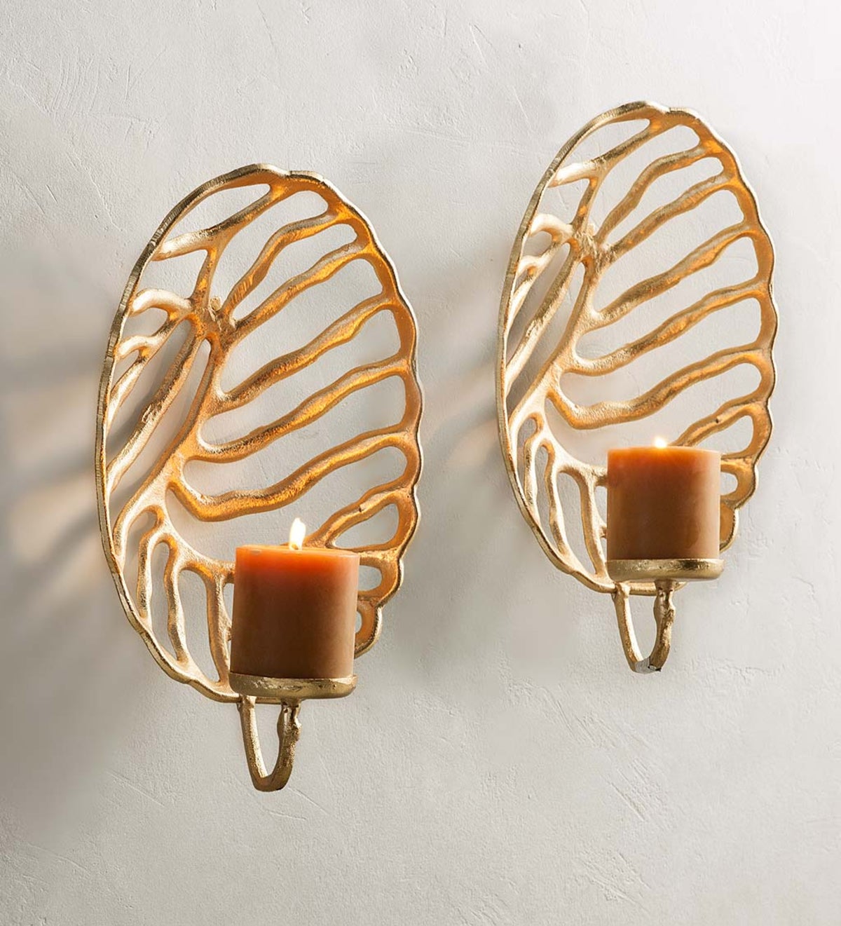 Golden Coral Wall Sconces