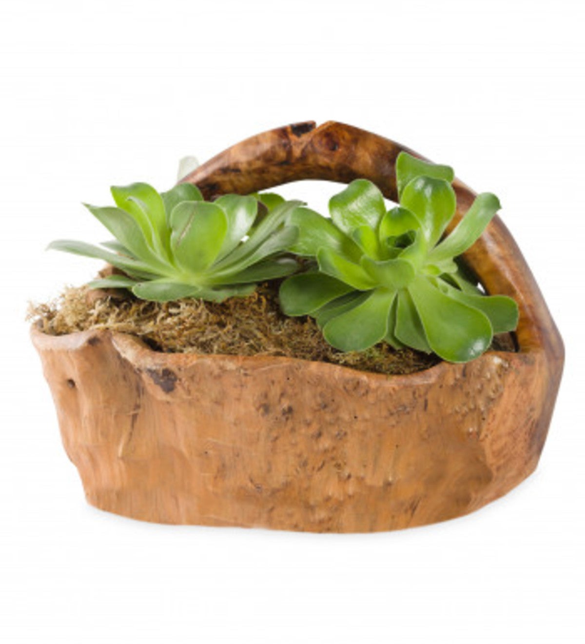 Root of the Earth Large Succulent Basket