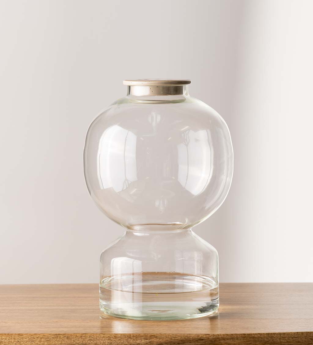 Glass Vase with Ceramic Frog Lid