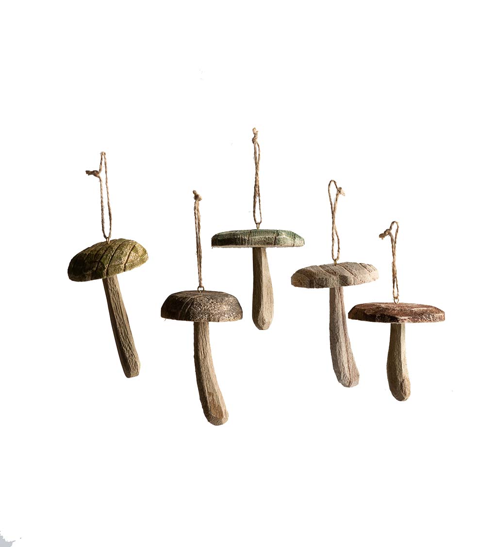 Wood Mushroom Ornaments, Set of 5