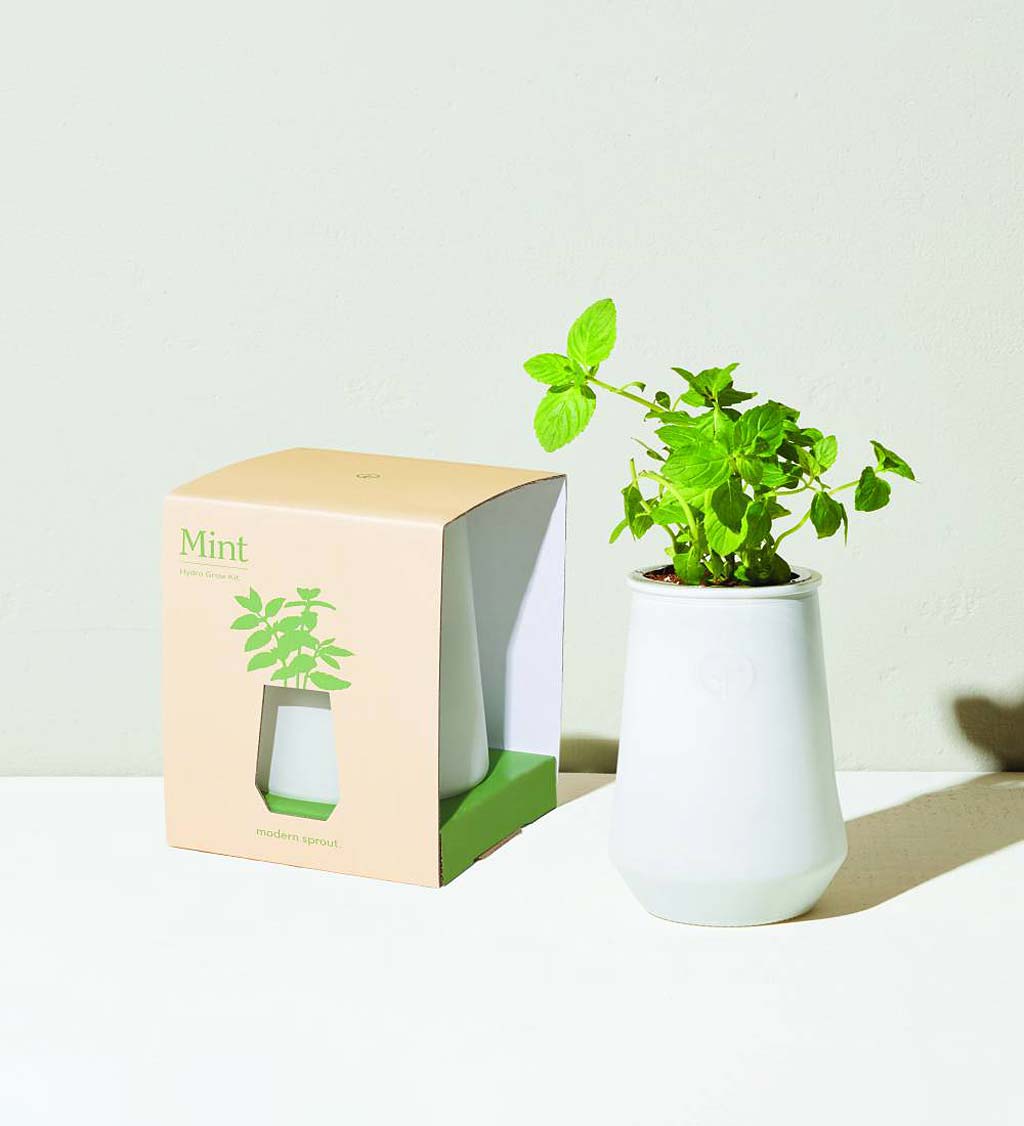 Self-Watering Herb Grow Kit Collection