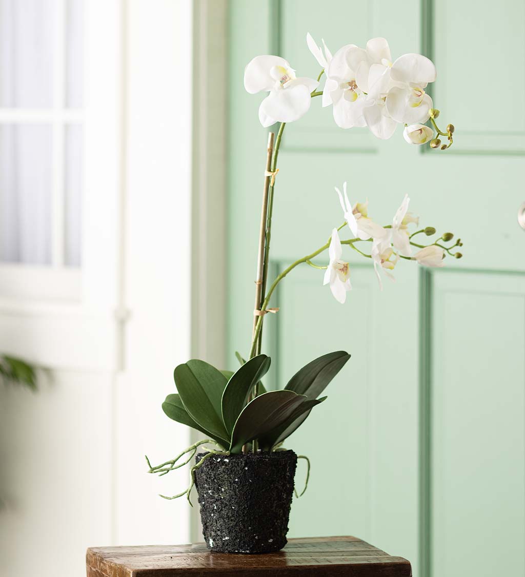 Faux White Orchid Artificial Plant