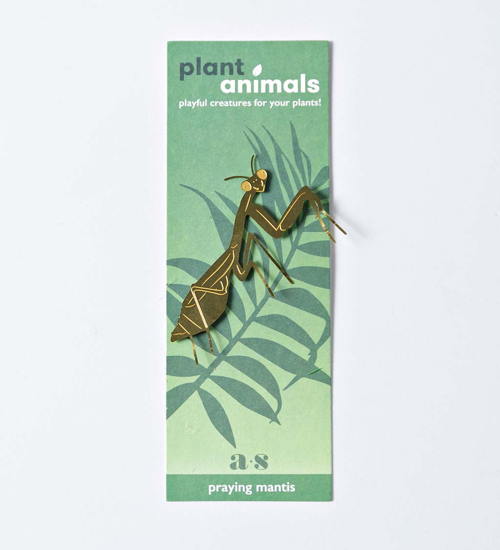 Brass Plant Pals Insect Collection