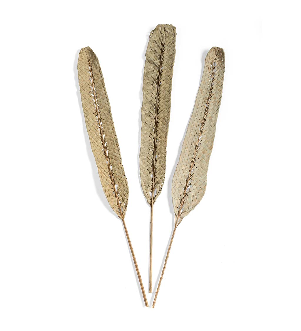 Woven Kejur Leaves, Set of 3 swatch image
