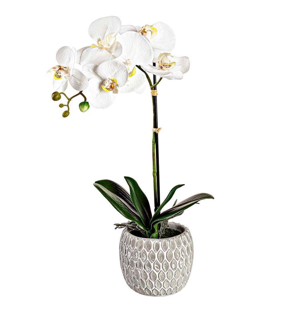 18" Faux Orchid in Ceramic Planter, Set of 2