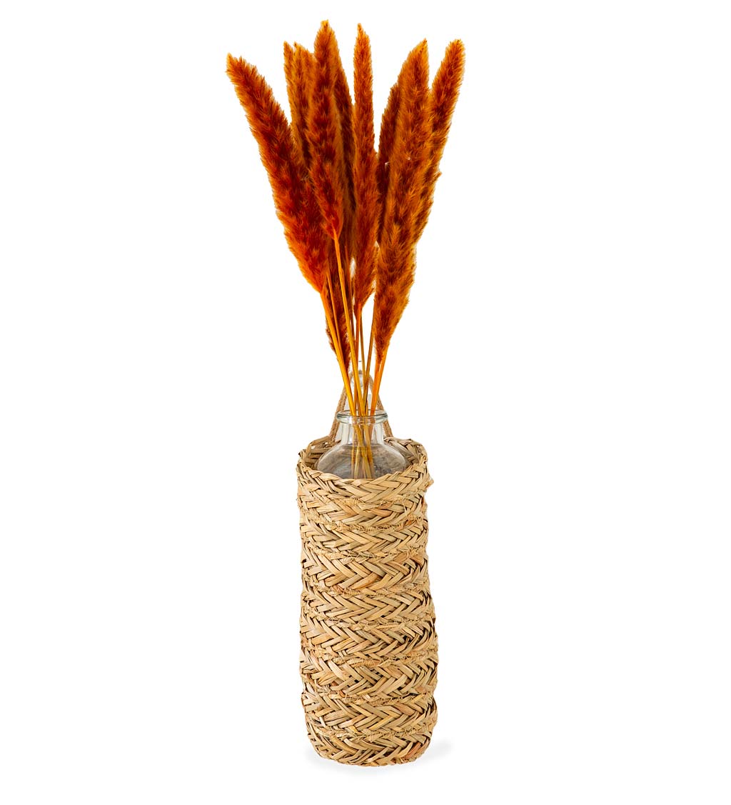 Hanging Seagrass Wrapped Bottle with Fountain Grass Spray swatch image