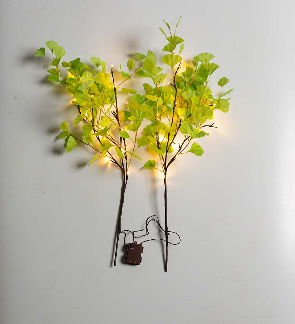 Indoor/ Outdoor Battery-Operated Lighted Ginkgo Branches, Set of 2 swatch image