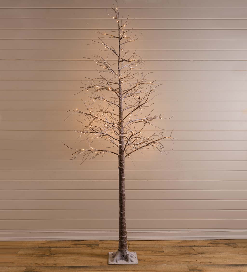 Indoor/Outdoor Snowy Lighted Tree Collection