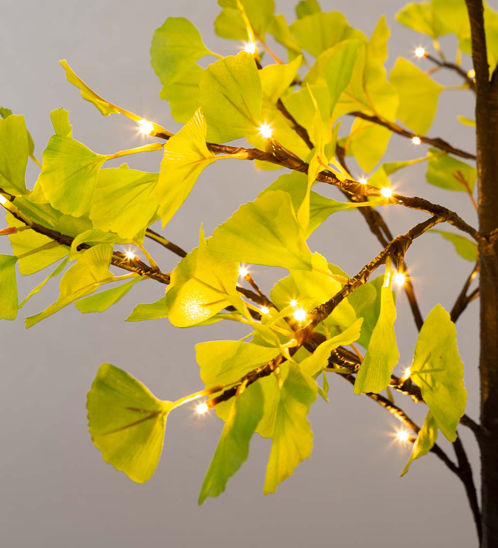 Indoor/ Outdoor Faux-Lighted Ginkgo Tree Collection