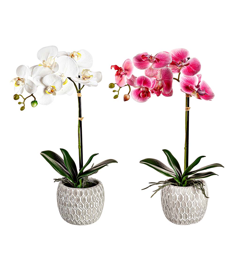 18" Faux Orchid in Ceramic Planter, Set of 2