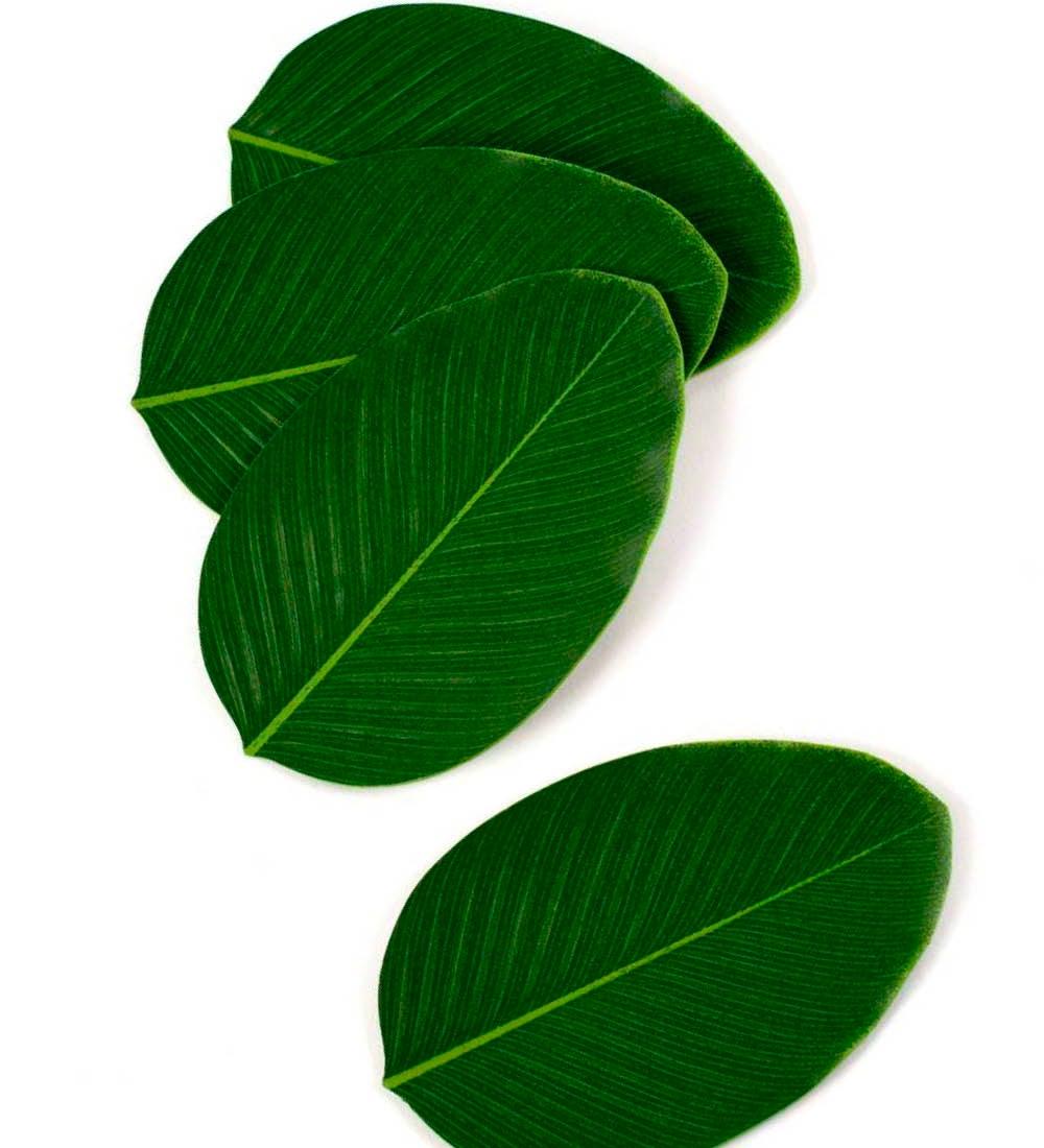 BaliHai Leaf-Shaped Coasters, Set of 4 swatch image