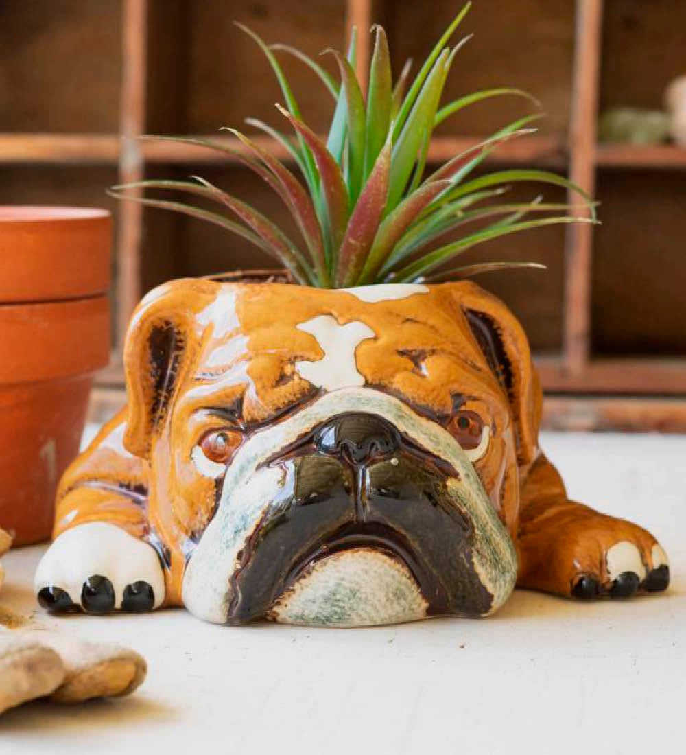 Ceramic Bulldog Planter