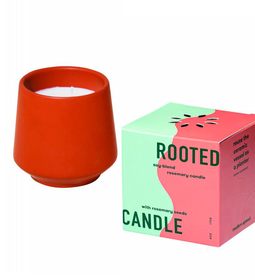 Rooted Candles/Grow Kit, Set of 3