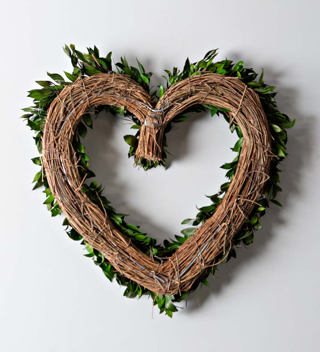 Preserved Green Heart-Shaped Wreath, 16"Dia.