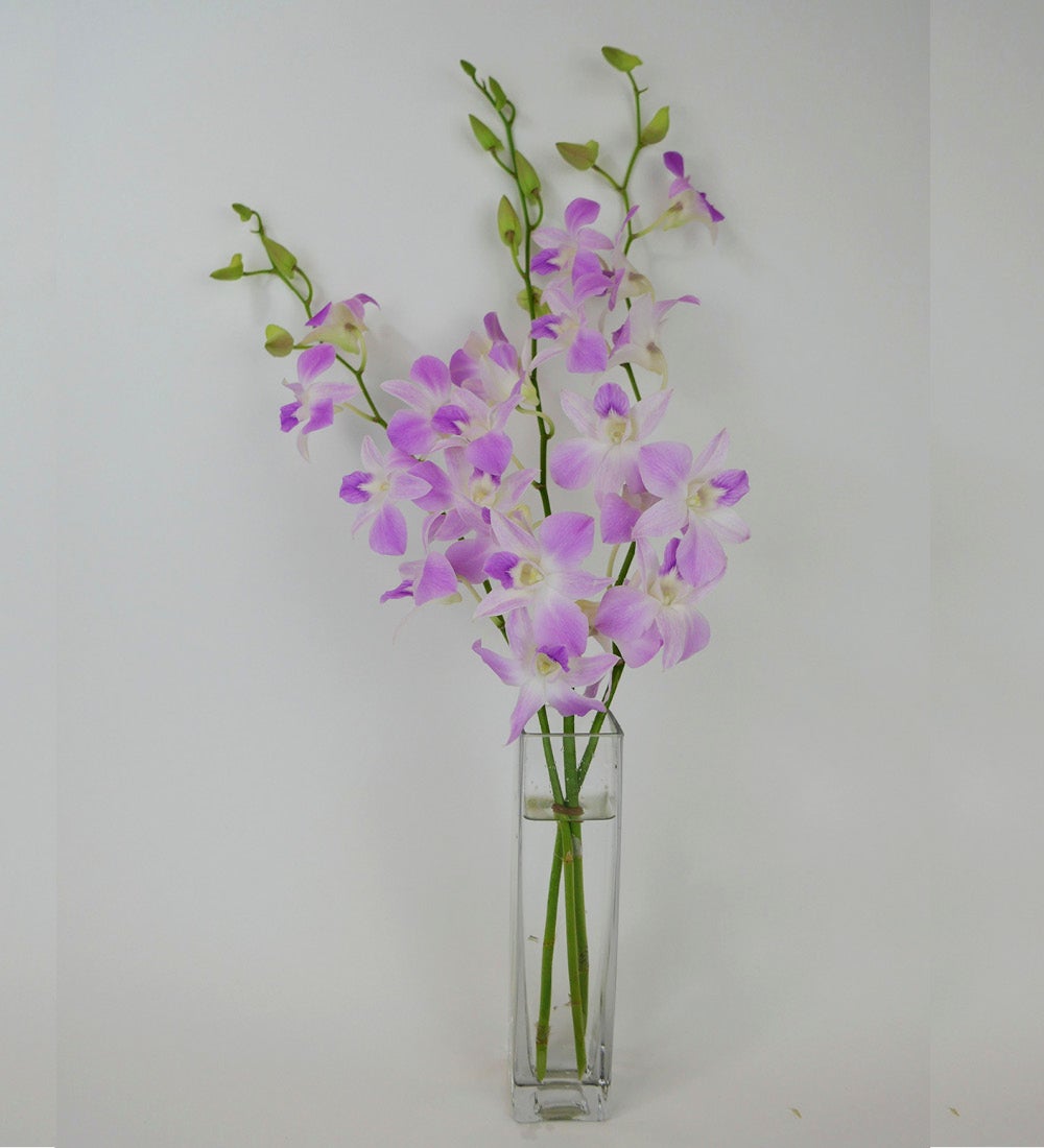 Fresh Cut Small Orchid Bunch in Glass Vase swatch image