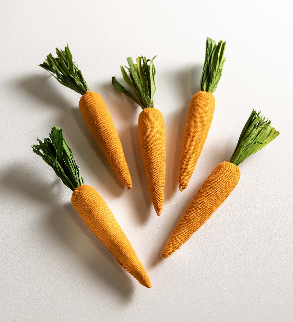 Faux Carrots in Gift Box, Set of 5