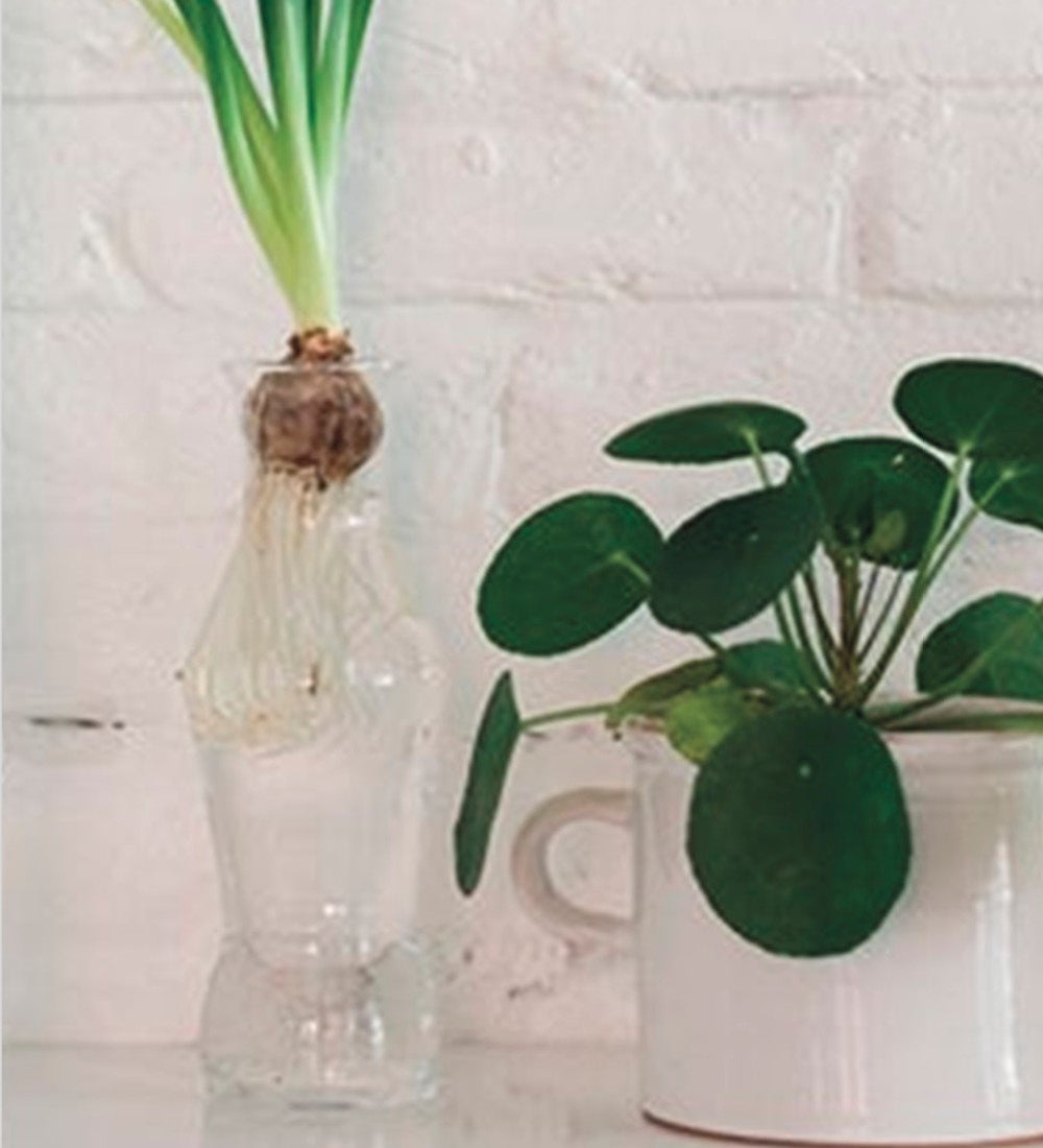 Recycled Glass Loire Carafe