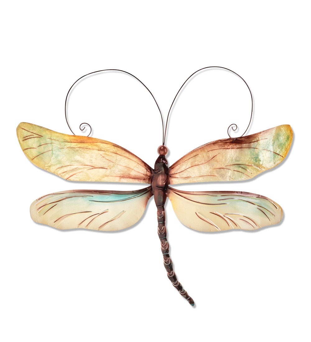 Indoor/ Outdoor Dragonfly Wall Decor swatch image