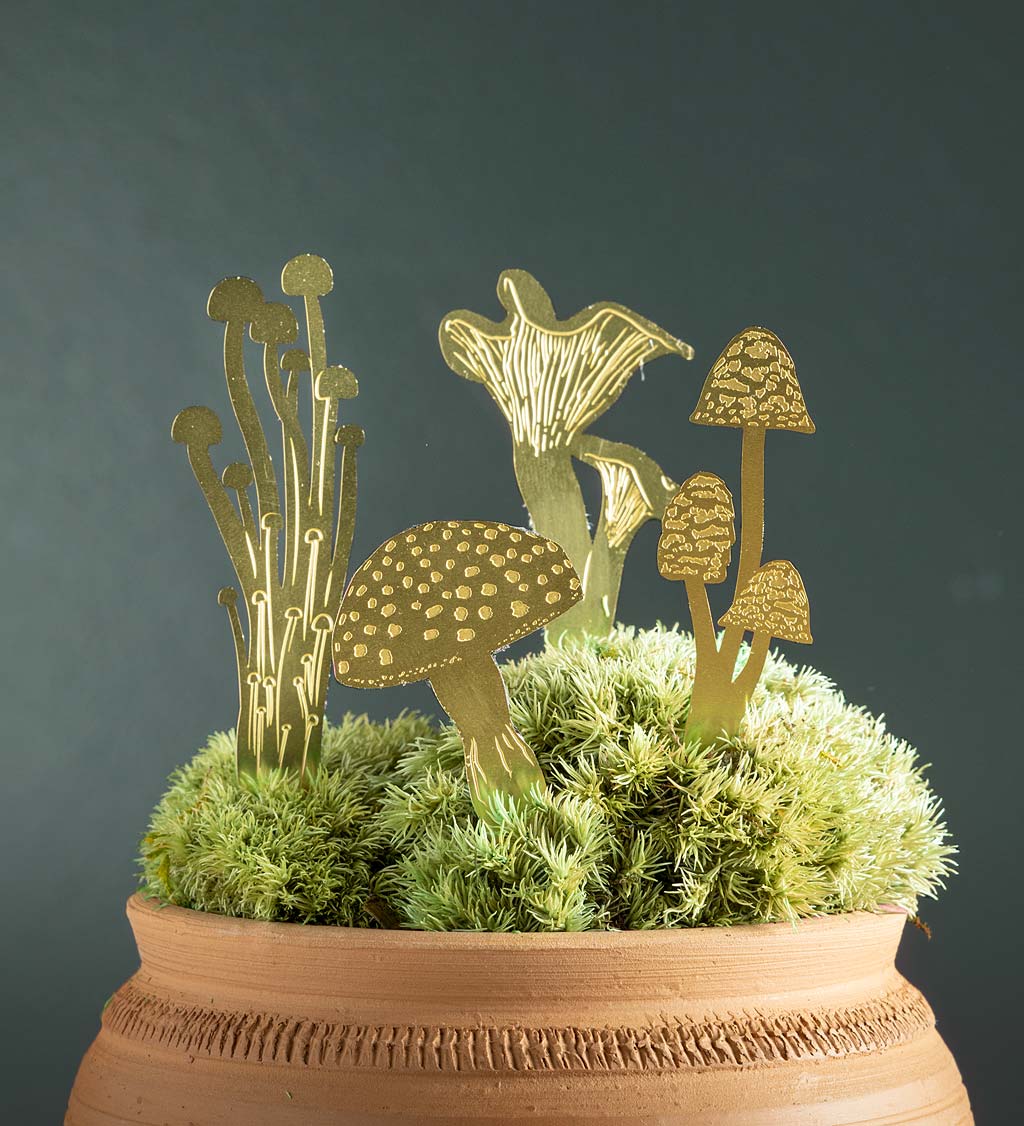 Mini Brass Mushroom Plant Stakes, Set of 4