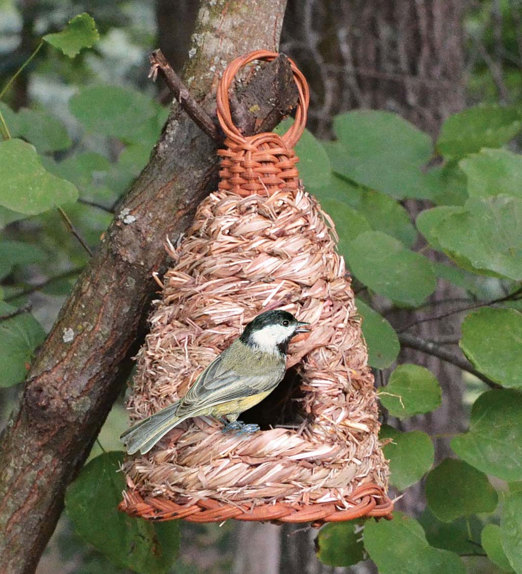 Hanging Hive-Style Roosting Pocket Birdhouse