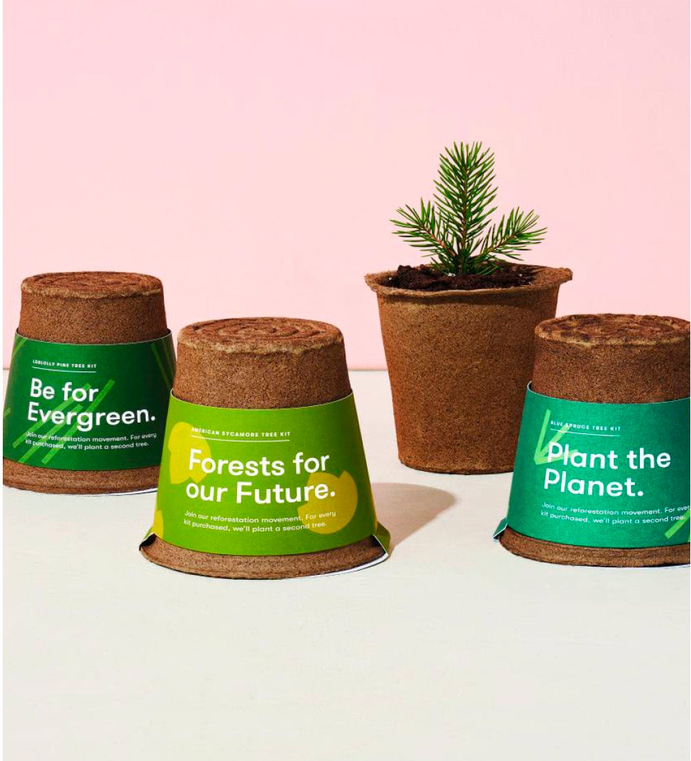 One-For-One Seed Starter Tree Kits, Set of 3