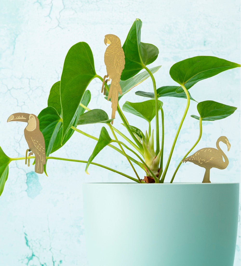 Brass Tropical Birds Plant Pals Collection