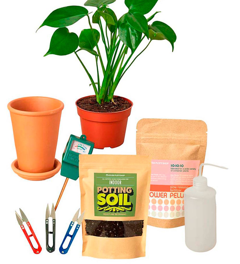 All-in-One New Plant Parent Kit